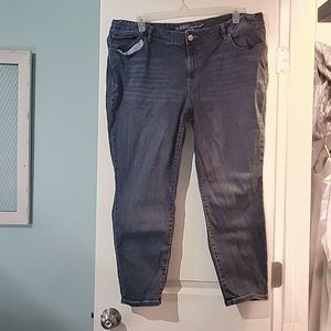 Plus size maurices Jeans 22w short